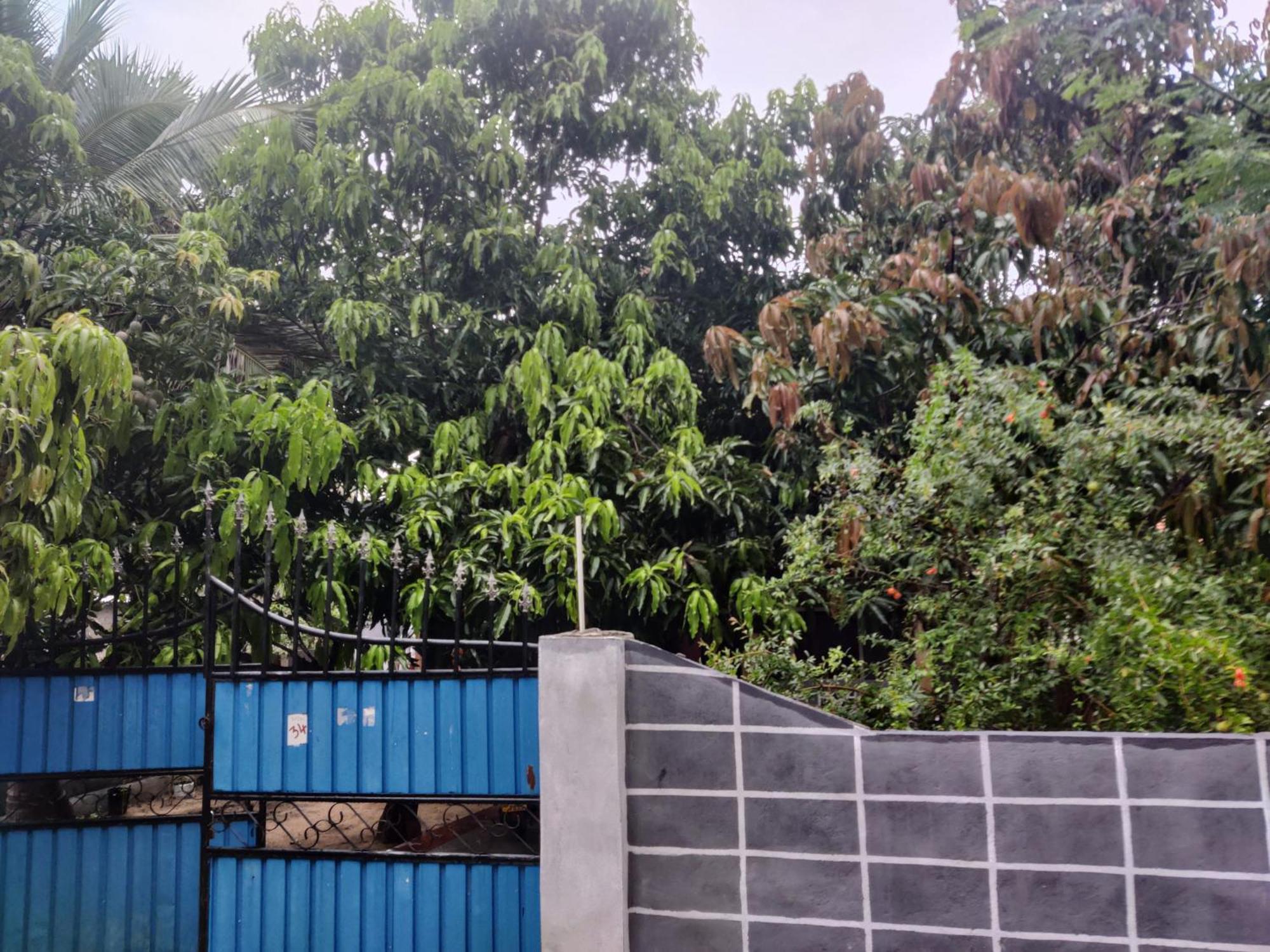 Enoch Guest House Mannar Exterior foto
